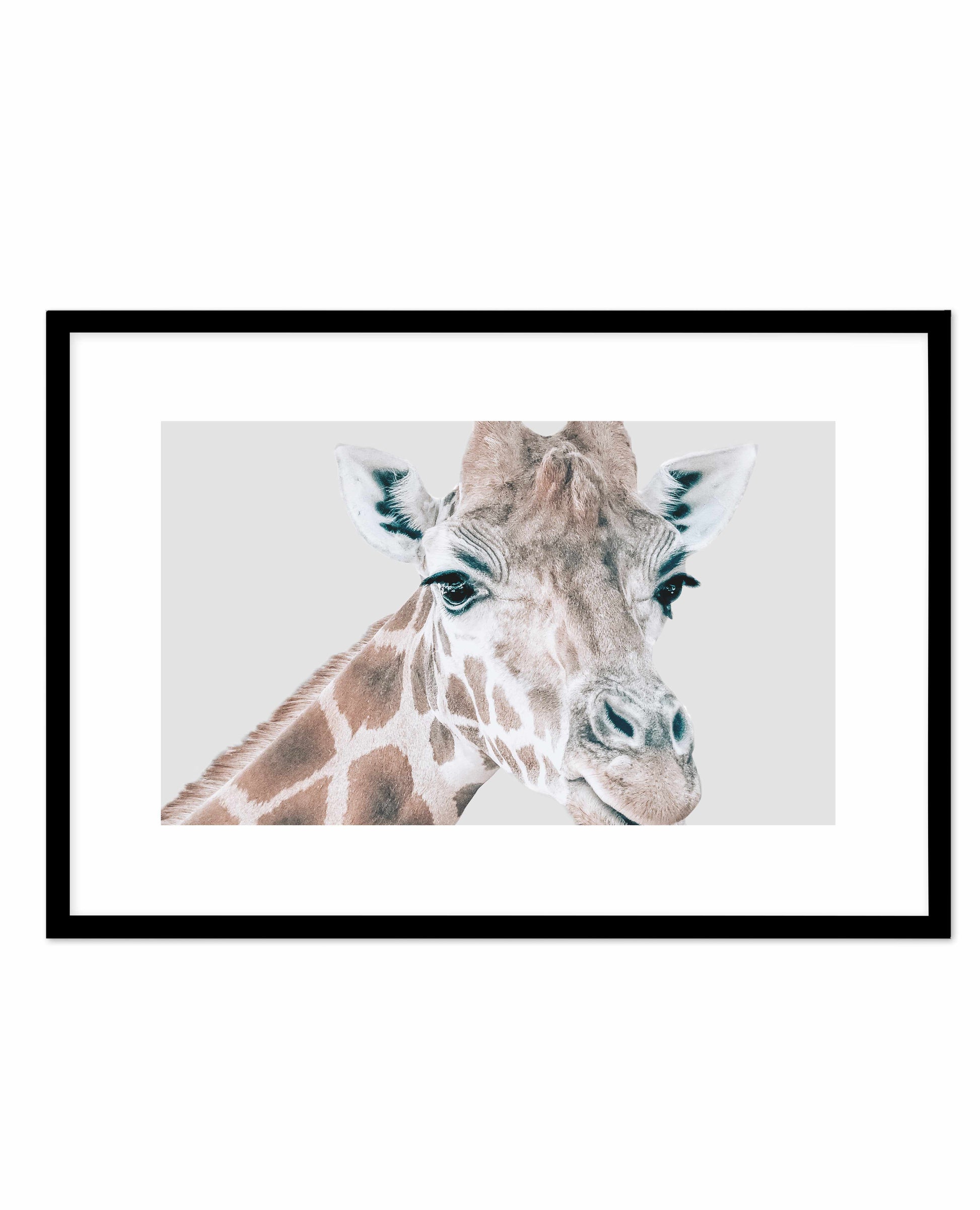 Giraffe | LS Art Print-PRINT-Olive et Oriel-Olive et Oriel-A5 | 5.8" x 8.3" | 14.8 x 21cm-Black-With White Border-Buy-Australian-Art-Prints-Online-with-Olive-et-Oriel-Your-Artwork-Specialists-Austrailia-Decorate-With-Coastal-Photo-Wall-Art-Prints-From-Our-Beach-House-Artwork-Collection-Fine-Poster-and-Framed-Artwork