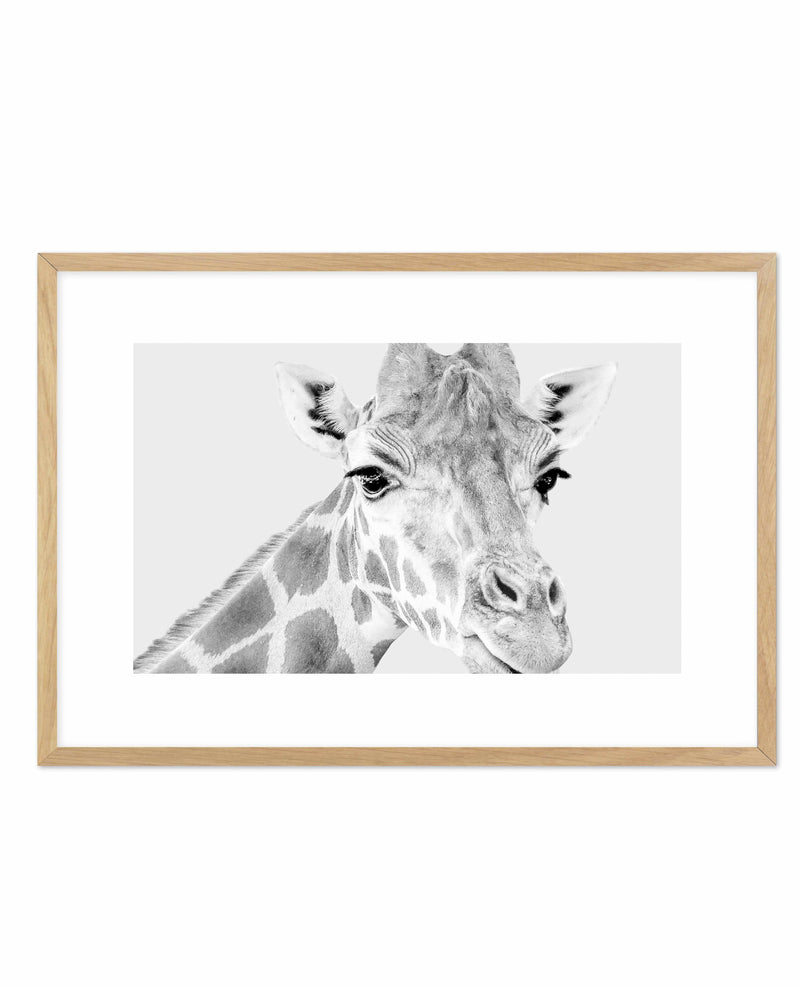 Giraffe B&W | LS Art Print-PRINT-Olive et Oriel-Olive et Oriel-A5 | 5.8" x 8.3" | 14.8 x 21cm-Oak-With White Border-Buy-Australian-Art-Prints-Online-with-Olive-et-Oriel-Your-Artwork-Specialists-Austrailia-Decorate-With-Coastal-Photo-Wall-Art-Prints-From-Our-Beach-House-Artwork-Collection-Fine-Poster-and-Framed-Artwork
