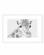 Giraffe B&W | LS Art Print-PRINT-Olive et Oriel-Olive et Oriel-A5 | 5.8" x 8.3" | 14.8 x 21cm-White-With White Border-Buy-Australian-Art-Prints-Online-with-Olive-et-Oriel-Your-Artwork-Specialists-Austrailia-Decorate-With-Coastal-Photo-Wall-Art-Prints-From-Our-Beach-House-Artwork-Collection-Fine-Poster-and-Framed-Artwork