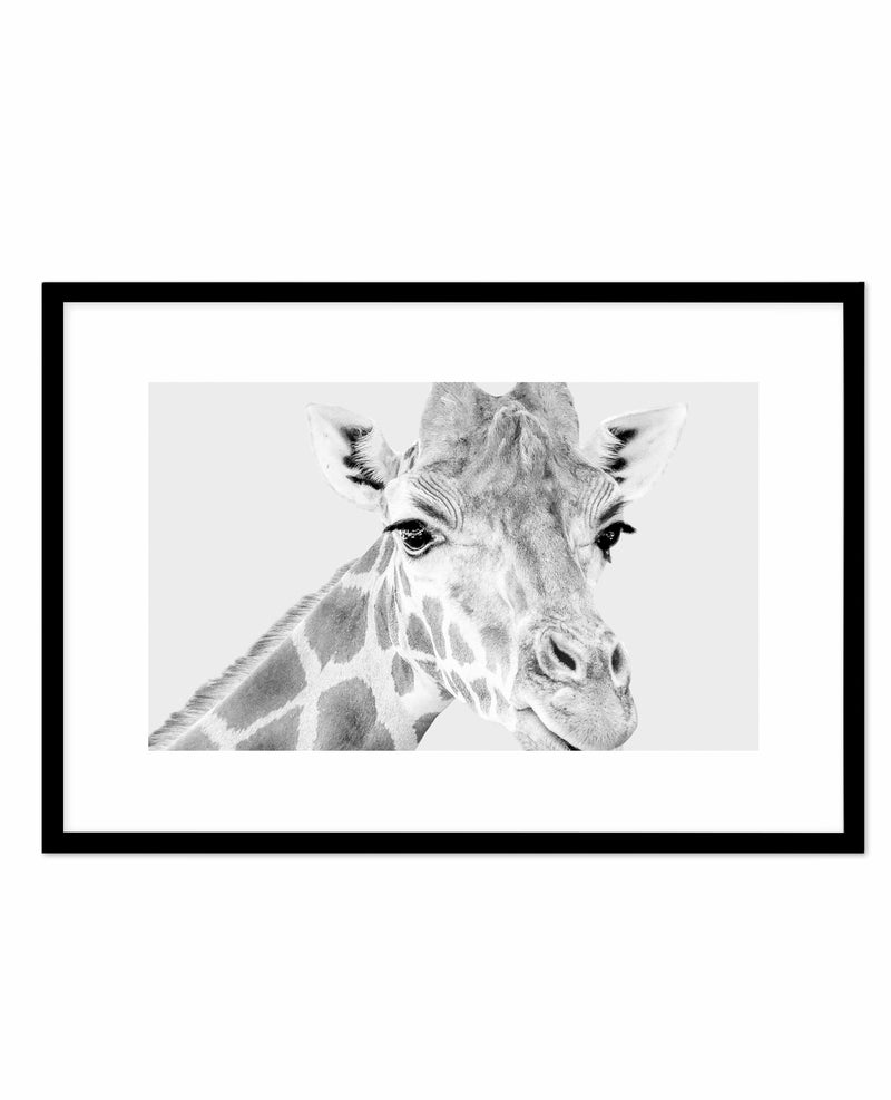 Giraffe B&W | LS Art Print-PRINT-Olive et Oriel-Olive et Oriel-A5 | 5.8" x 8.3" | 14.8 x 21cm-Black-With White Border-Buy-Australian-Art-Prints-Online-with-Olive-et-Oriel-Your-Artwork-Specialists-Austrailia-Decorate-With-Coastal-Photo-Wall-Art-Prints-From-Our-Beach-House-Artwork-Collection-Fine-Poster-and-Framed-Artwork