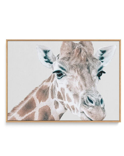 Giraffe | LS | Framed Canvas-CANVAS-You can shop wall art online with Olive et Oriel for everything from abstract art to fun kids wall art. Our beautiful modern art prints and canvas art are available from large canvas prints to wall art paintings and our proudly Australian artwork collection offers only the highest quality framed large wall art and canvas art Australia - You can buy fashion photography prints or Hampton print posters and paintings on canvas from Olive et Oriel and have them del