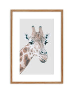 Giraffe | PT Art Print-PRINT-Olive et Oriel-Olive et Oriel-50x70 cm | 19.6" x 27.5"-Walnut-With White Border-Buy-Australian-Art-Prints-Online-with-Olive-et-Oriel-Your-Artwork-Specialists-Austrailia-Decorate-With-Coastal-Photo-Wall-Art-Prints-From-Our-Beach-House-Artwork-Collection-Fine-Poster-and-Framed-Artwork