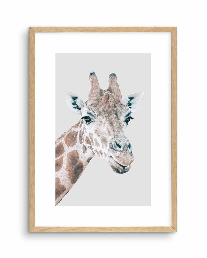 Giraffe | PT Art Print-PRINT-Olive et Oriel-Olive et Oriel-A5 | 5.8" x 8.3" | 14.8 x 21cm-Oak-With White Border-Buy-Australian-Art-Prints-Online-with-Olive-et-Oriel-Your-Artwork-Specialists-Austrailia-Decorate-With-Coastal-Photo-Wall-Art-Prints-From-Our-Beach-House-Artwork-Collection-Fine-Poster-and-Framed-Artwork