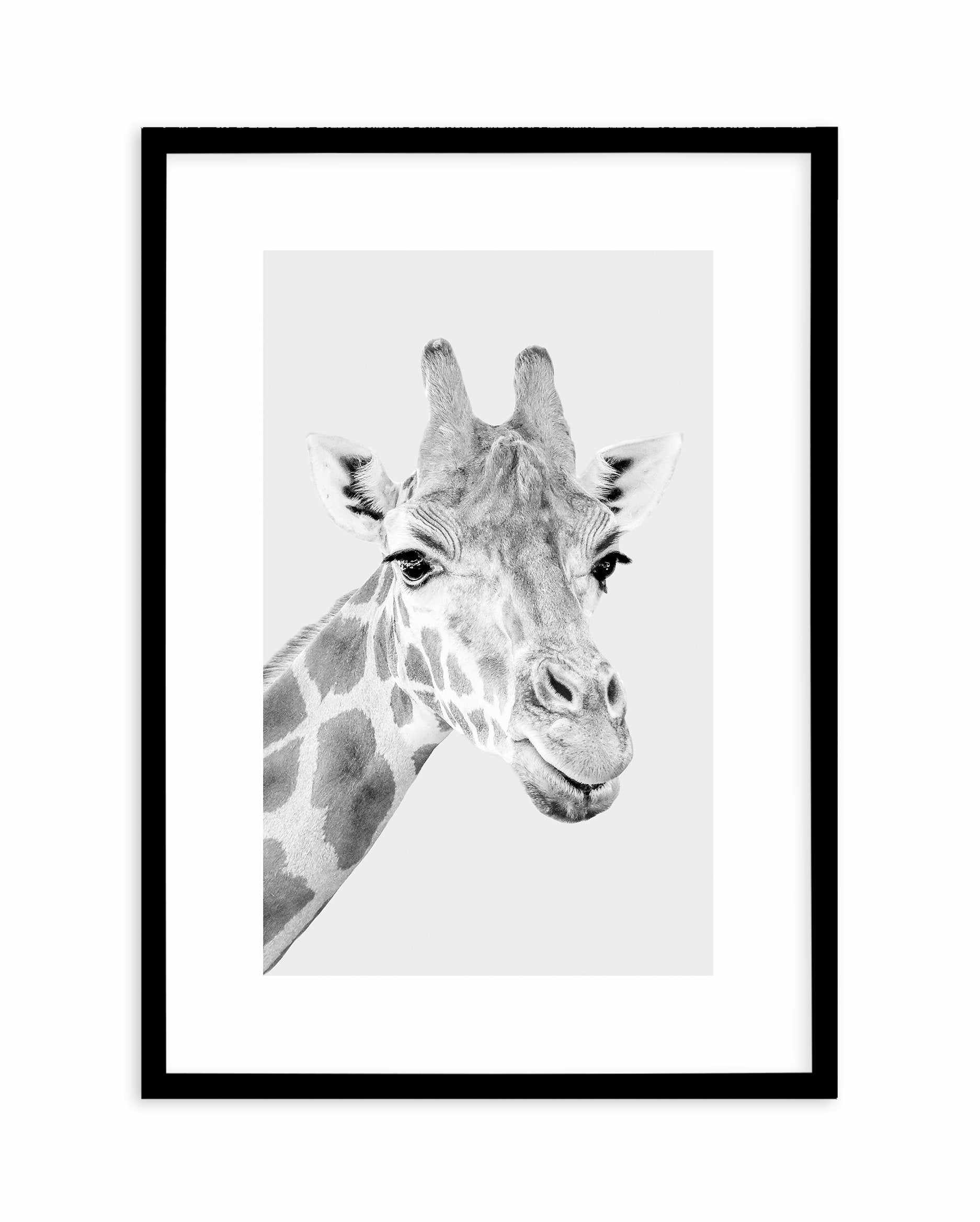 Giraffe B&W | PT Art Print-PRINT-Olive et Oriel-Olive et Oriel-A5 | 5.8" x 8.3" | 14.8 x 21cm-Black-With White Border-Buy-Australian-Art-Prints-Online-with-Olive-et-Oriel-Your-Artwork-Specialists-Austrailia-Decorate-With-Coastal-Photo-Wall-Art-Prints-From-Our-Beach-House-Artwork-Collection-Fine-Poster-and-Framed-Artwork