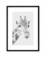 Giraffe B&W | PT Art Print-PRINT-Olive et Oriel-Olive et Oriel-A5 | 5.8" x 8.3" | 14.8 x 21cm-Black-With White Border-Buy-Australian-Art-Prints-Online-with-Olive-et-Oriel-Your-Artwork-Specialists-Austrailia-Decorate-With-Coastal-Photo-Wall-Art-Prints-From-Our-Beach-House-Artwork-Collection-Fine-Poster-and-Framed-Artwork