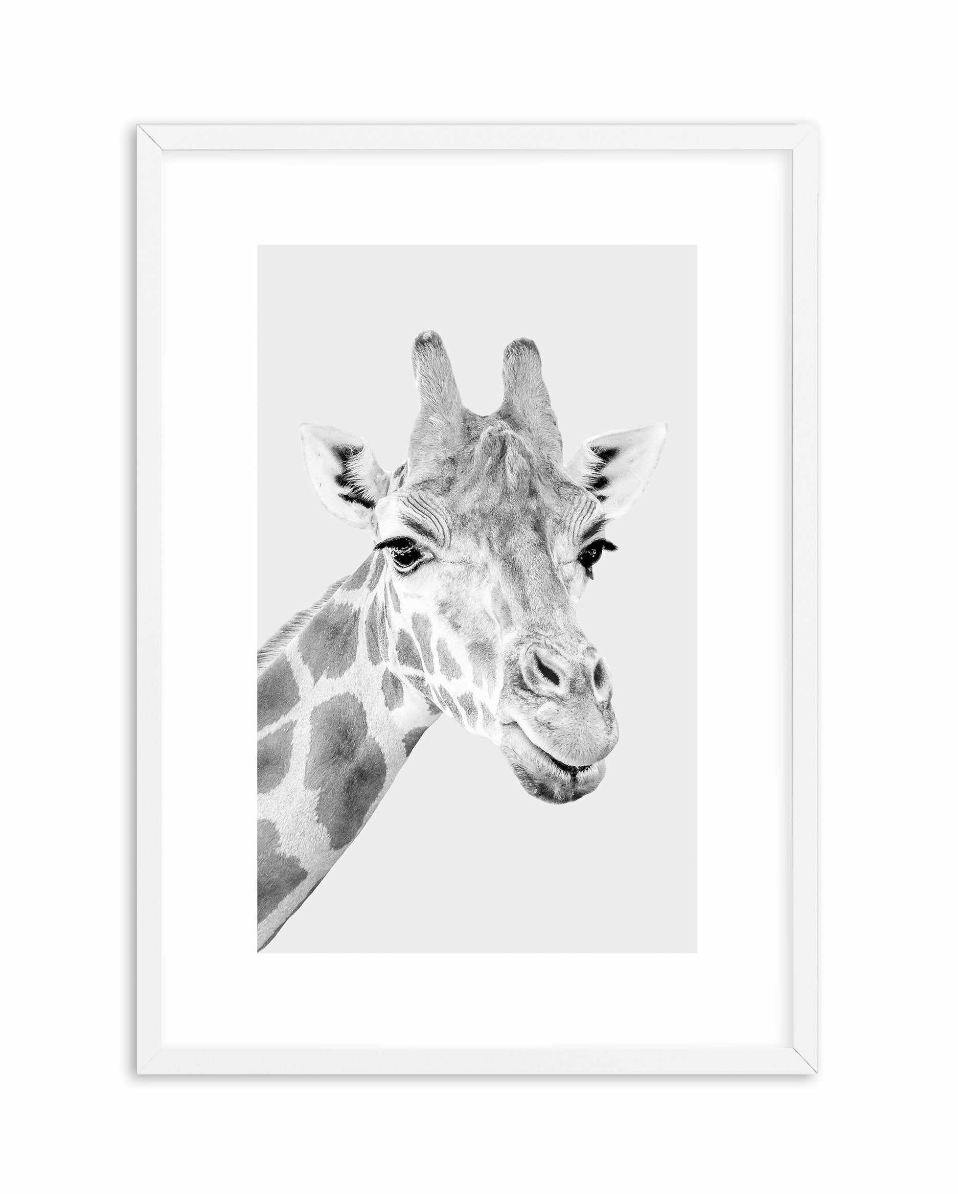 Giraffe B&W | PT Art Print-PRINT-Olive et Oriel-Olive et Oriel-A5 | 5.8" x 8.3" | 14.8 x 21cm-White-With White Border-Buy-Australian-Art-Prints-Online-with-Olive-et-Oriel-Your-Artwork-Specialists-Austrailia-Decorate-With-Coastal-Photo-Wall-Art-Prints-From-Our-Beach-House-Artwork-Collection-Fine-Poster-and-Framed-Artwork