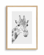 Giraffe B&W | PT Art Print-PRINT-Olive et Oriel-Olive et Oriel-A5 | 5.8" x 8.3" | 14.8 x 21cm-Oak-With White Border-Buy-Australian-Art-Prints-Online-with-Olive-et-Oriel-Your-Artwork-Specialists-Austrailia-Decorate-With-Coastal-Photo-Wall-Art-Prints-From-Our-Beach-House-Artwork-Collection-Fine-Poster-and-Framed-Artwork