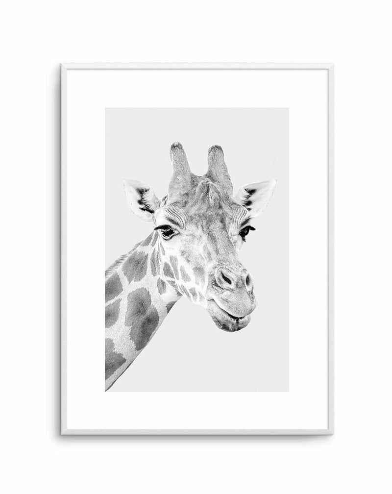 Giraffe B&W | PT Art Print-PRINT-Olive et Oriel-Olive et Oriel-A5 | 5.8" x 8.3" | 14.8 x 21cm-Unframed Art Print-With White Border-Buy-Australian-Art-Prints-Online-with-Olive-et-Oriel-Your-Artwork-Specialists-Austrailia-Decorate-With-Coastal-Photo-Wall-Art-Prints-From-Our-Beach-House-Artwork-Collection-Fine-Poster-and-Framed-Artwork