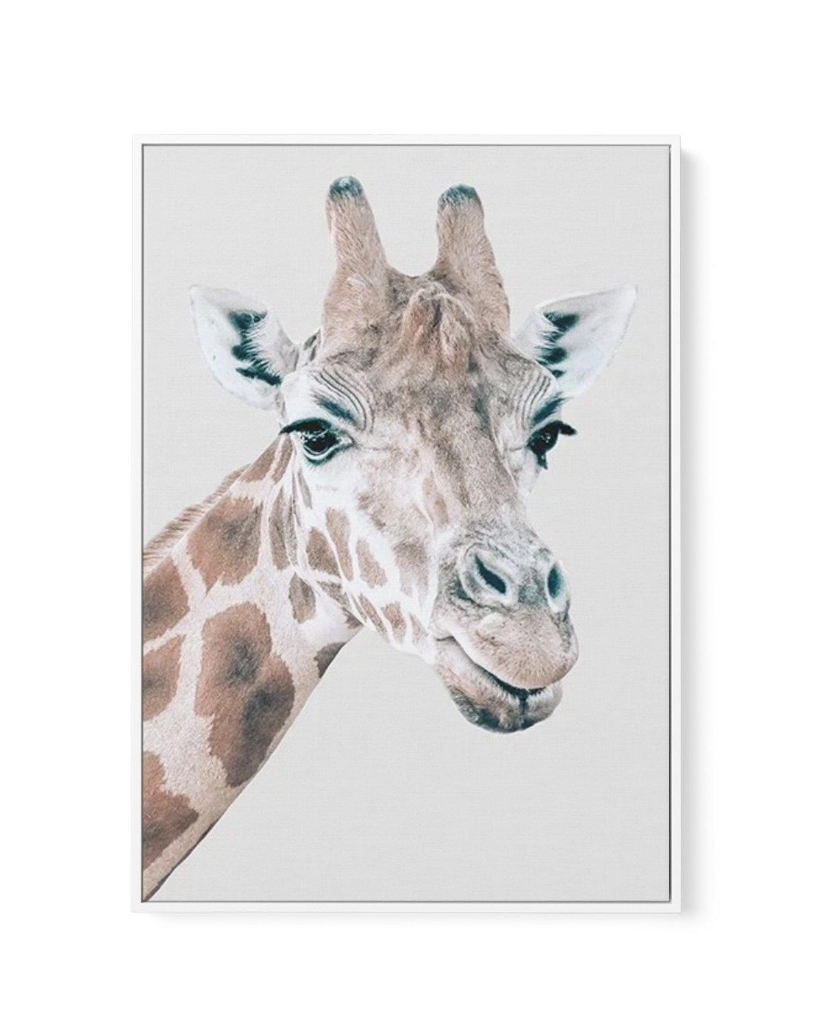 Giraffe | PT | Framed Canvas-CANVAS-You can shop wall art online with Olive et Oriel for everything from abstract art to fun kids wall art. Our beautiful modern art prints and canvas art are available from large canvas prints to wall art paintings and our proudly Australian artwork collection offers only the highest quality framed large wall art and canvas art Australia - You can buy fashion photography prints or Hampton print posters and paintings on canvas from Olive et Oriel and have them del