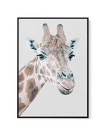 Giraffe | PT | Framed Canvas-CANVAS-You can shop wall art online with Olive et Oriel for everything from abstract art to fun kids wall art. Our beautiful modern art prints and canvas art are available from large canvas prints to wall art paintings and our proudly Australian artwork collection offers only the highest quality framed large wall art and canvas art Australia - You can buy fashion photography prints or Hampton print posters and paintings on canvas from Olive et Oriel and have them del