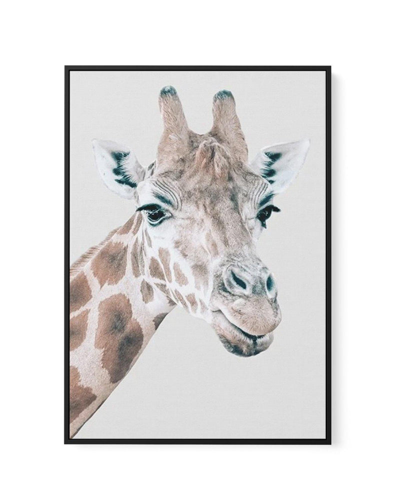Giraffe | PT | Framed Canvas-CANVAS-You can shop wall art online with Olive et Oriel for everything from abstract art to fun kids wall art. Our beautiful modern art prints and canvas art are available from large canvas prints to wall art paintings and our proudly Australian artwork collection offers only the highest quality framed large wall art and canvas art Australia - You can buy fashion photography prints or Hampton print posters and paintings on canvas from Olive et Oriel and have them del