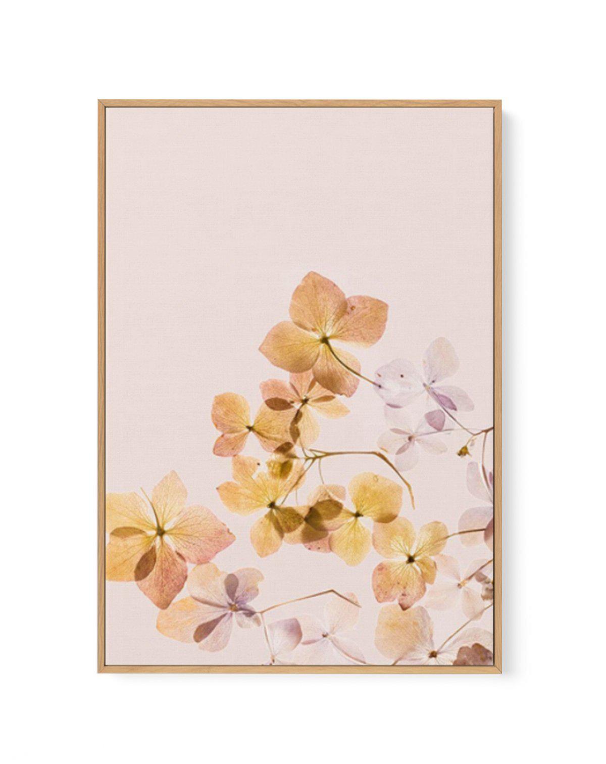 Golden Botanica | Left | Framed Canvas-CANVAS-You can shop wall art online with Olive et Oriel for everything from abstract art to fun kids wall art. Our beautiful modern art prints and canvas art are available from large canvas prints to wall art paintings and our proudly Australian artwork collection offers only the highest quality framed large wall art and canvas art Australia - You can buy fashion photography prints or Hampton print posters and paintings on canvas from Olive et Oriel and hav