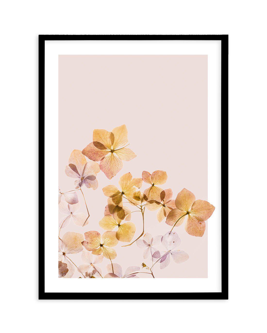 Golden Botanica | Right Art Print-PRINT-Olive et Oriel-Olive et Oriel-A5 | 5.8" x 8.3" | 14.8 x 21cm-Black-With White Border-Buy-Australian-Art-Prints-Online-with-Olive-et-Oriel-Your-Artwork-Specialists-Austrailia-Decorate-With-Coastal-Photo-Wall-Art-Prints-From-Our-Beach-House-Artwork-Collection-Fine-Poster-and-Framed-Artwork