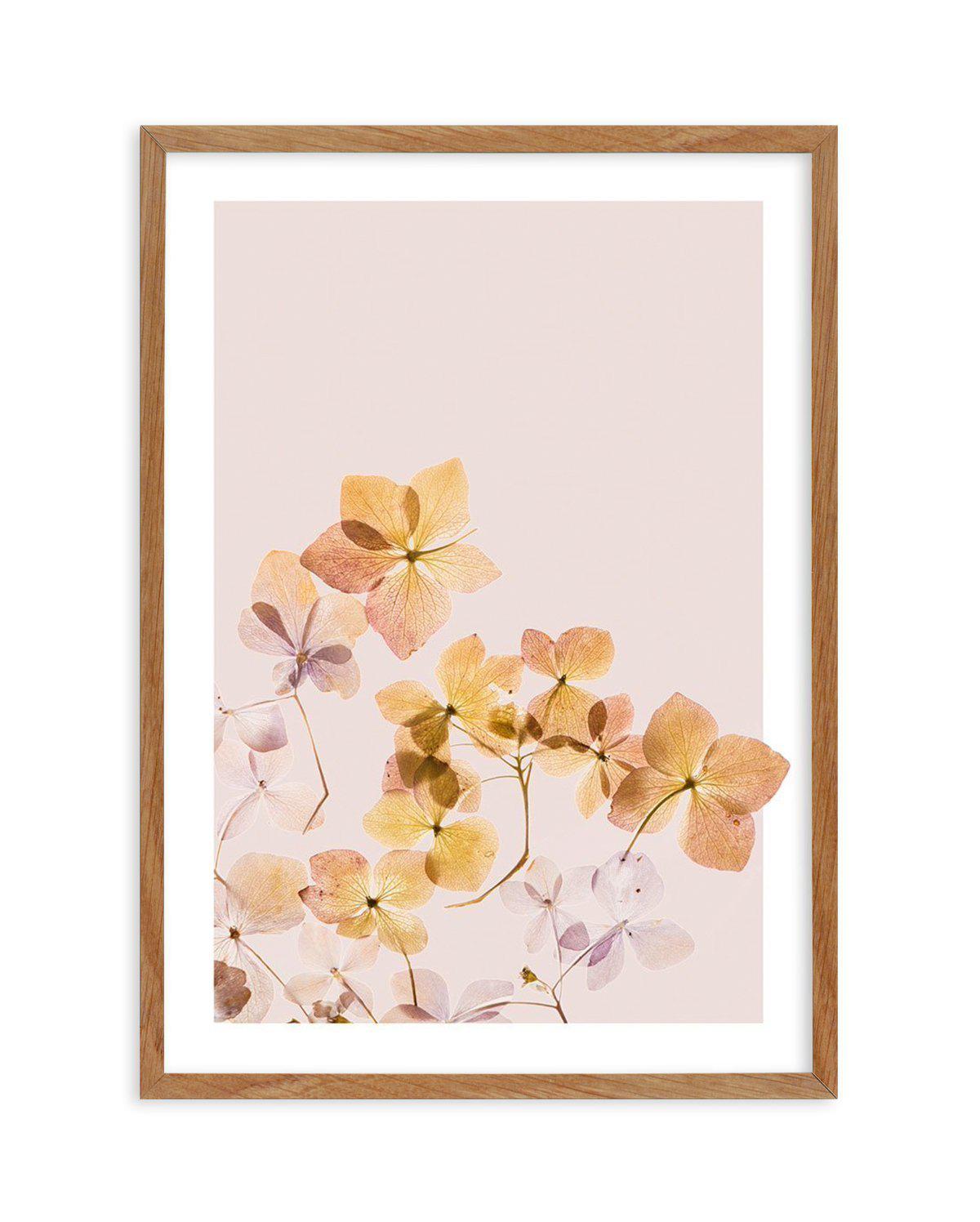 Golden Botanica | Right Art Print-PRINT-Olive et Oriel-Olive et Oriel-50x70 cm | 19.6" x 27.5"-Walnut-With White Border-Buy-Australian-Art-Prints-Online-with-Olive-et-Oriel-Your-Artwork-Specialists-Austrailia-Decorate-With-Coastal-Photo-Wall-Art-Prints-From-Our-Beach-House-Artwork-Collection-Fine-Poster-and-Framed-Artwork