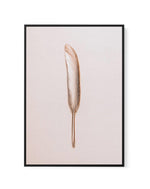 Golden Feather | Framed Canvas-CANVAS-You can shop wall art online with Olive et Oriel for everything from abstract art to fun kids wall art. Our beautiful modern art prints and canvas art are available from large canvas prints to wall art paintings and our proudly Australian artwork collection offers only the highest quality framed large wall art and canvas art Australia - You can buy fashion photography prints or Hampton print posters and paintings on canvas from Olive et Oriel and have them d
