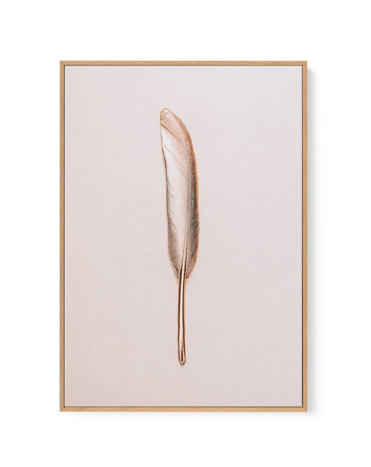 Golden Feather | Framed Canvas-CANVAS-You can shop wall art online with Olive et Oriel for everything from abstract art to fun kids wall art. Our beautiful modern art prints and canvas art are available from large canvas prints to wall art paintings and our proudly Australian artwork collection offers only the highest quality framed large wall art and canvas art Australia - You can buy fashion photography prints or Hampton print posters and paintings on canvas from Olive et Oriel and have them d