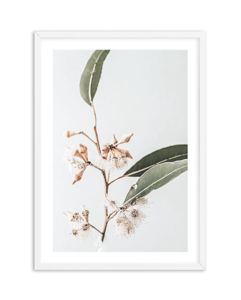 Golden Gum Art Print-PRINT-Olive et Oriel-Olive et Oriel-A4 | 8.3" x 11.7" | 21 x 29.7cm-White-With White Border-Buy-Australian-Art-Prints-Online-with-Olive-et-Oriel-Your-Artwork-Specialists-Austrailia-Decorate-With-Coastal-Photo-Wall-Art-Prints-From-Our-Beach-House-Artwork-Collection-Fine-Poster-and-Framed-Artwork