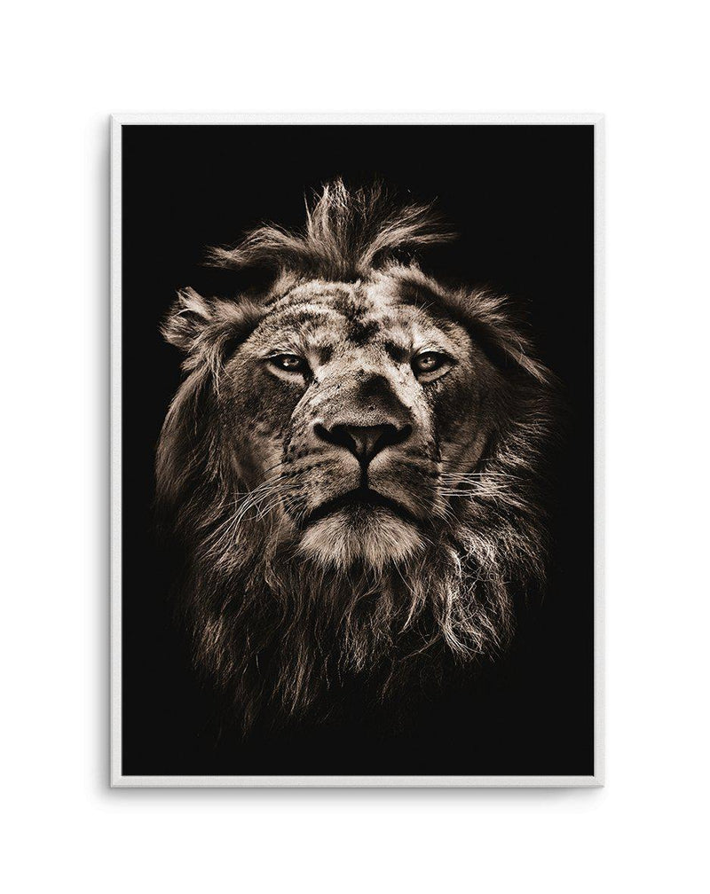 Golden Lion Art Print-PRINT-Olive et Oriel-Olive et Oriel-A5 | 5.8" x 8.3" | 14.8 x 21cm-Unframed Art Print-With White Border-Buy-Australian-Art-Prints-Online-with-Olive-et-Oriel-Your-Artwork-Specialists-Austrailia-Decorate-With-Coastal-Photo-Wall-Art-Prints-From-Our-Beach-House-Artwork-Collection-Fine-Poster-and-Framed-Artwork