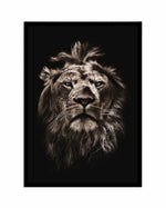 Golden Lion Art Print-PRINT-Olive et Oriel-Olive et Oriel-A5 | 5.8" x 8.3" | 14.8 x 21cm-Black-With White Border-Buy-Australian-Art-Prints-Online-with-Olive-et-Oriel-Your-Artwork-Specialists-Austrailia-Decorate-With-Coastal-Photo-Wall-Art-Prints-From-Our-Beach-House-Artwork-Collection-Fine-Poster-and-Framed-Artwork