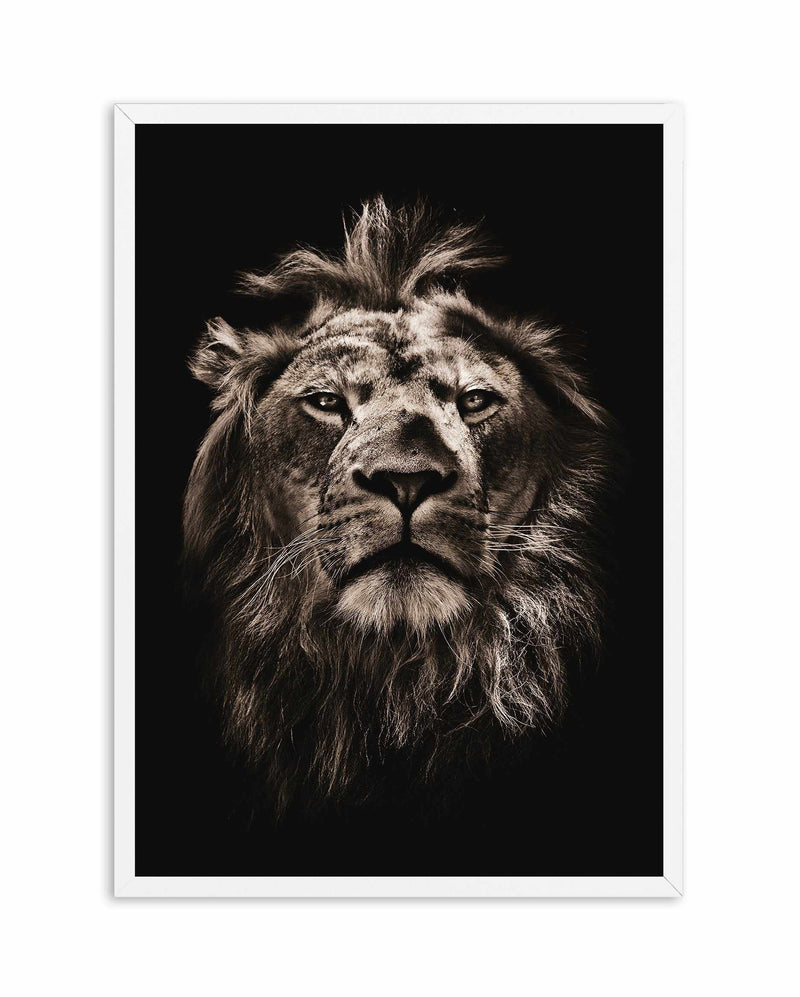 Golden Lion Art Print-PRINT-Olive et Oriel-Olive et Oriel-A5 | 5.8" x 8.3" | 14.8 x 21cm-White-With White Border-Buy-Australian-Art-Prints-Online-with-Olive-et-Oriel-Your-Artwork-Specialists-Austrailia-Decorate-With-Coastal-Photo-Wall-Art-Prints-From-Our-Beach-House-Artwork-Collection-Fine-Poster-and-Framed-Artwork