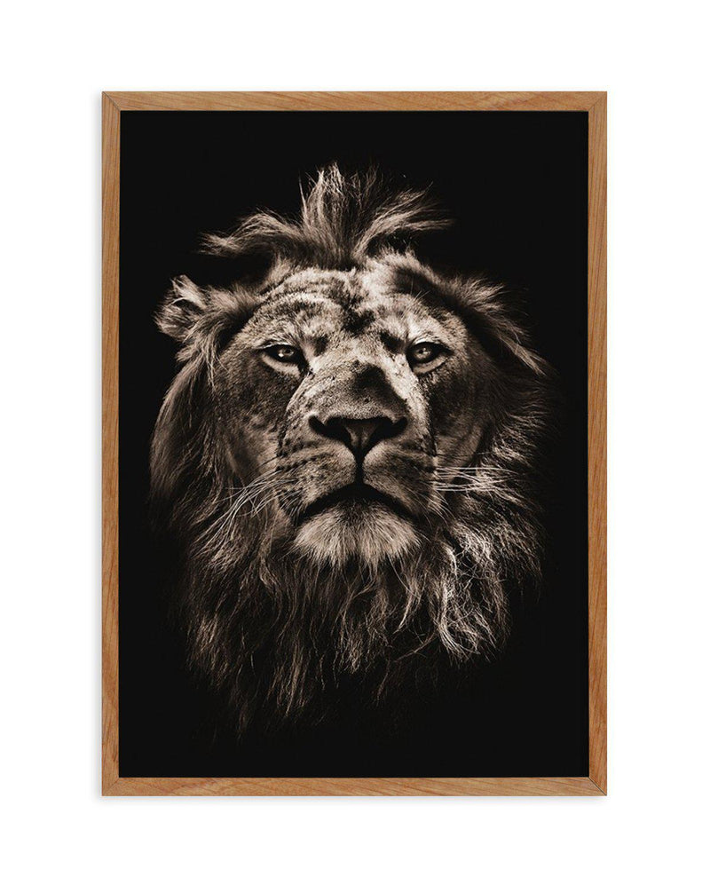 Golden Lion Art Print-PRINT-Olive et Oriel-Olive et Oriel-50x70 cm | 19.6" x 27.5"-Walnut-With White Border-Buy-Australian-Art-Prints-Online-with-Olive-et-Oriel-Your-Artwork-Specialists-Austrailia-Decorate-With-Coastal-Photo-Wall-Art-Prints-From-Our-Beach-House-Artwork-Collection-Fine-Poster-and-Framed-Artwork