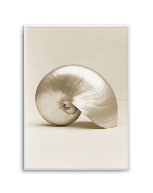 Golden Nautilus Art Print-PRINT-Olive et Oriel-Olive et Oriel-A5 | 5.8" x 8.3" | 14.8 x 21cm-Unframed Art Print-With White Border-Buy-Australian-Art-Prints-Online-with-Olive-et-Oriel-Your-Artwork-Specialists-Austrailia-Decorate-With-Coastal-Photo-Wall-Art-Prints-From-Our-Beach-House-Artwork-Collection-Fine-Poster-and-Framed-Artwork