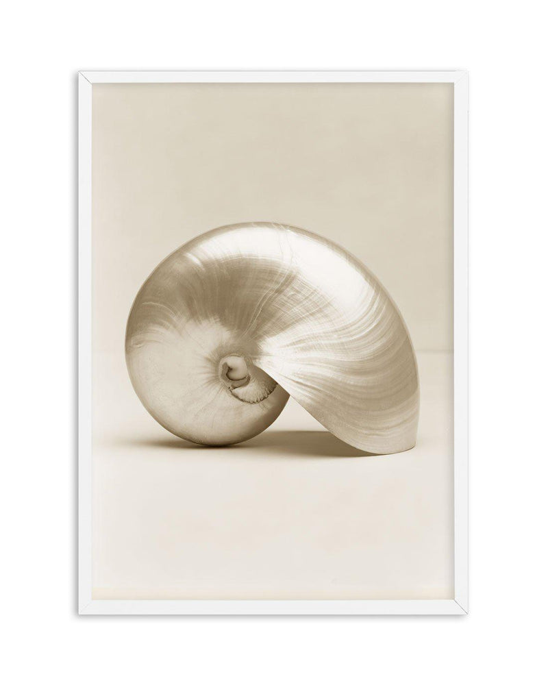 Golden Nautilus Art Print-PRINT-Olive et Oriel-Olive et Oriel-A5 | 5.8" x 8.3" | 14.8 x 21cm-White-With White Border-Buy-Australian-Art-Prints-Online-with-Olive-et-Oriel-Your-Artwork-Specialists-Austrailia-Decorate-With-Coastal-Photo-Wall-Art-Prints-From-Our-Beach-House-Artwork-Collection-Fine-Poster-and-Framed-Artwork