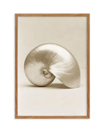 Golden Nautilus Art Print-PRINT-Olive et Oriel-Olive et Oriel-50x70 cm | 19.6" x 27.5"-Walnut-With White Border-Buy-Australian-Art-Prints-Online-with-Olive-et-Oriel-Your-Artwork-Specialists-Austrailia-Decorate-With-Coastal-Photo-Wall-Art-Prints-From-Our-Beach-House-Artwork-Collection-Fine-Poster-and-Framed-Artwork
