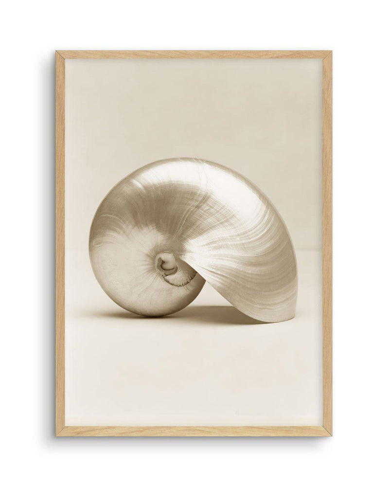 Golden Nautilus Art Print-PRINT-Olive et Oriel-Olive et Oriel-A5 | 5.8" x 8.3" | 14.8 x 21cm-Oak-With White Border-Buy-Australian-Art-Prints-Online-with-Olive-et-Oriel-Your-Artwork-Specialists-Austrailia-Decorate-With-Coastal-Photo-Wall-Art-Prints-From-Our-Beach-House-Artwork-Collection-Fine-Poster-and-Framed-Artwork