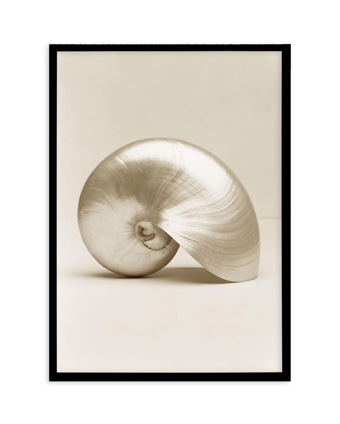 Golden Nautilus Art Print-PRINT-Olive et Oriel-Olive et Oriel-A5 | 5.8" x 8.3" | 14.8 x 21cm-Black-With White Border-Buy-Australian-Art-Prints-Online-with-Olive-et-Oriel-Your-Artwork-Specialists-Austrailia-Decorate-With-Coastal-Photo-Wall-Art-Prints-From-Our-Beach-House-Artwork-Collection-Fine-Poster-and-Framed-Artwork