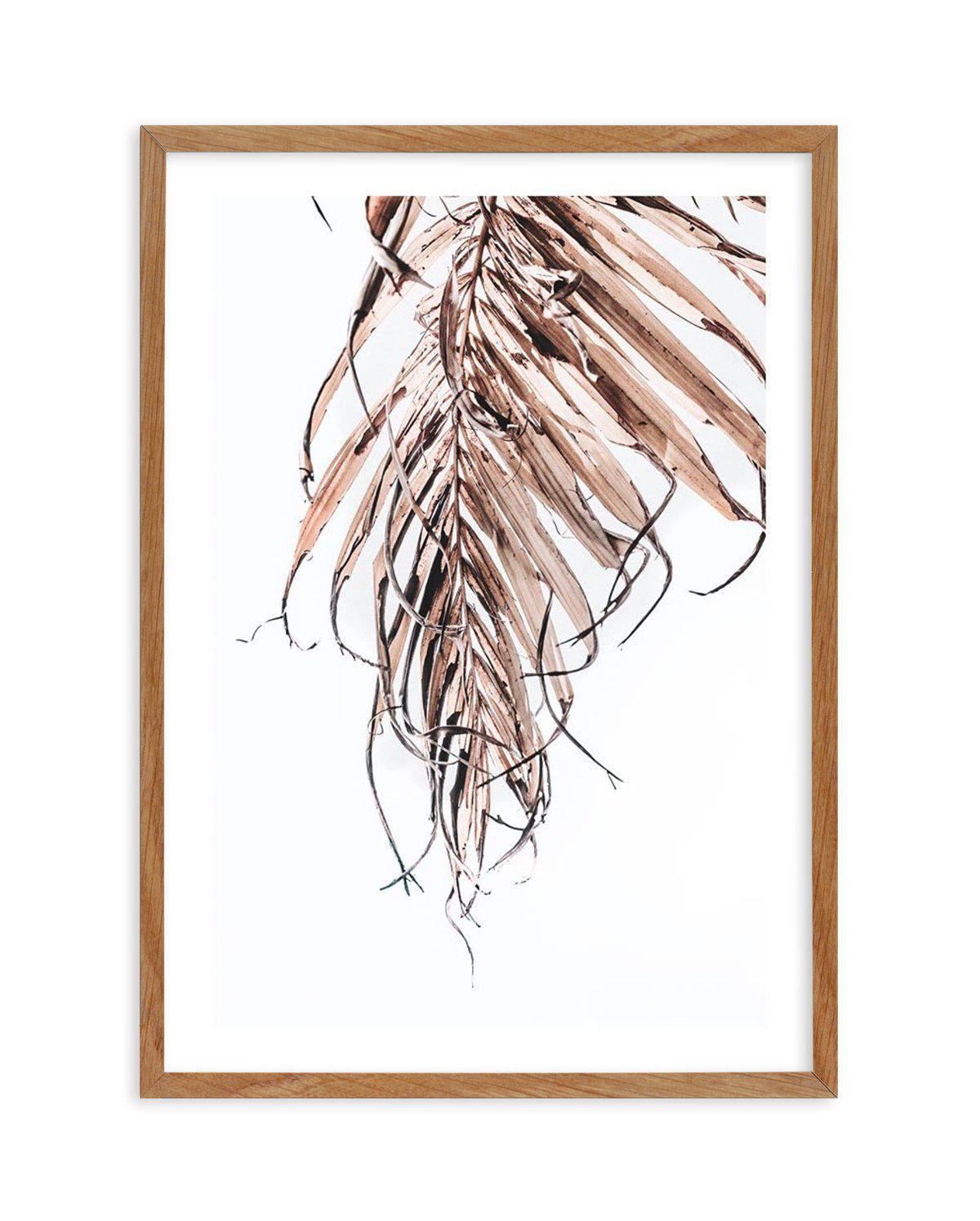 Golden Palm I Art Print-PRINT-Olive et Oriel-Olive et Oriel-50x70 cm | 19.6" x 27.5"-Walnut-With White Border-Buy-Australian-Art-Prints-Online-with-Olive-et-Oriel-Your-Artwork-Specialists-Austrailia-Decorate-With-Coastal-Photo-Wall-Art-Prints-From-Our-Beach-House-Artwork-Collection-Fine-Poster-and-Framed-Artwork