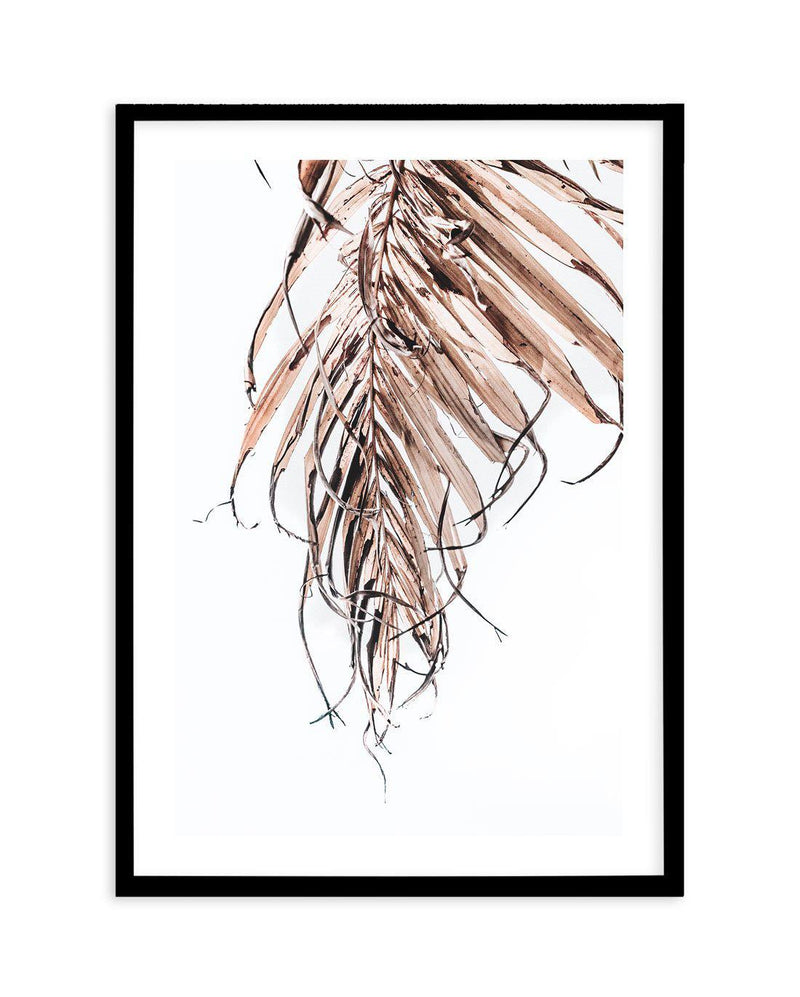 Golden Palm I Art Print-PRINT-Olive et Oriel-Olive et Oriel-A4 | 8.3" x 11.7" | 21 x 29.7cm-Black-With White Border-Buy-Australian-Art-Prints-Online-with-Olive-et-Oriel-Your-Artwork-Specialists-Austrailia-Decorate-With-Coastal-Photo-Wall-Art-Prints-From-Our-Beach-House-Artwork-Collection-Fine-Poster-and-Framed-Artwork
