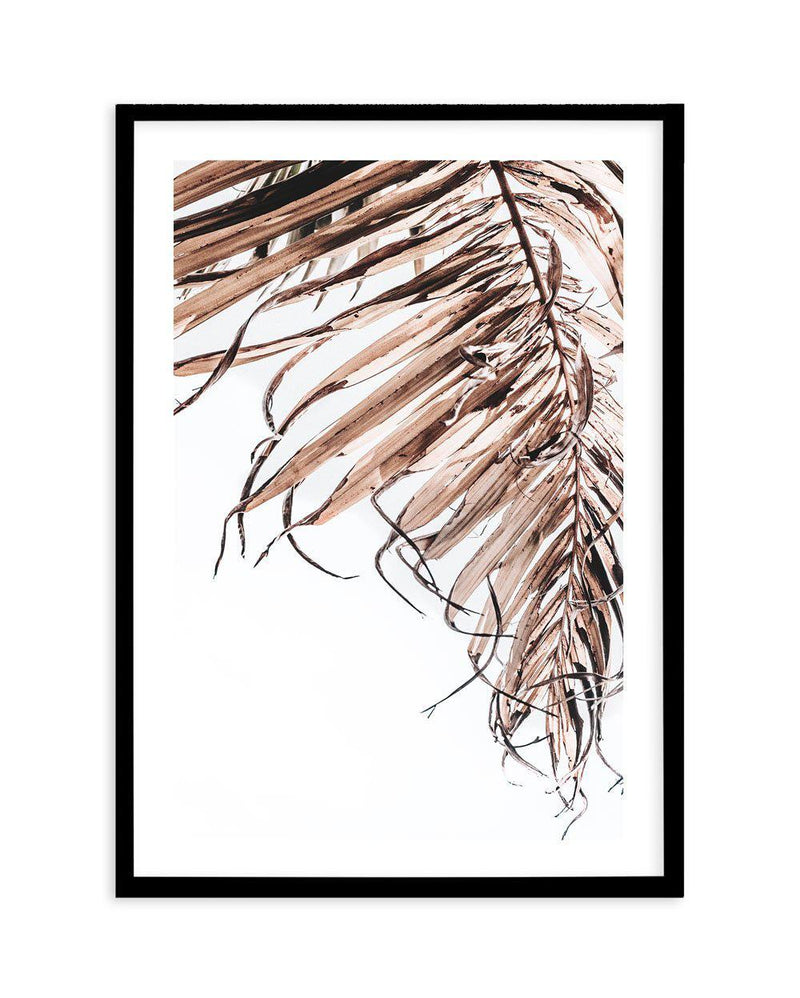 Golden Palm II Art Print-PRINT-Olive et Oriel-Olive et Oriel-A4 | 8.3" x 11.7" | 21 x 29.7cm-Black-With White Border-Buy-Australian-Art-Prints-Online-with-Olive-et-Oriel-Your-Artwork-Specialists-Austrailia-Decorate-With-Coastal-Photo-Wall-Art-Prints-From-Our-Beach-House-Artwork-Collection-Fine-Poster-and-Framed-Artwork