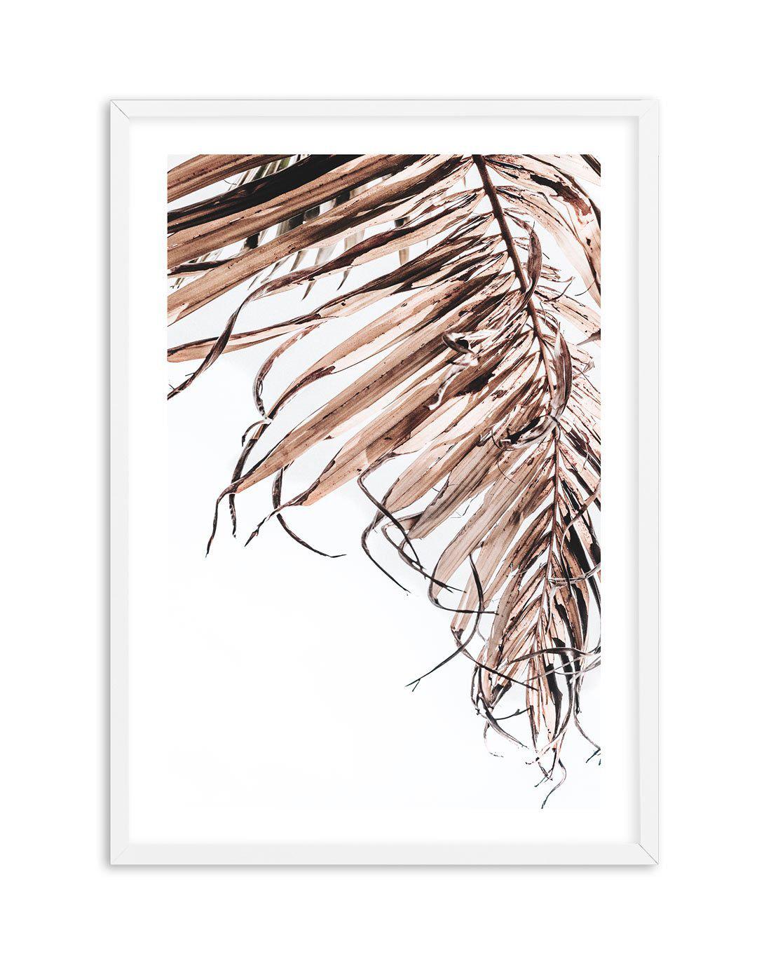 Golden Palm II Art Print-PRINT-Olive et Oriel-Olive et Oriel-A4 | 8.3" x 11.7" | 21 x 29.7cm-White-With White Border-Buy-Australian-Art-Prints-Online-with-Olive-et-Oriel-Your-Artwork-Specialists-Austrailia-Decorate-With-Coastal-Photo-Wall-Art-Prints-From-Our-Beach-House-Artwork-Collection-Fine-Poster-and-Framed-Artwork