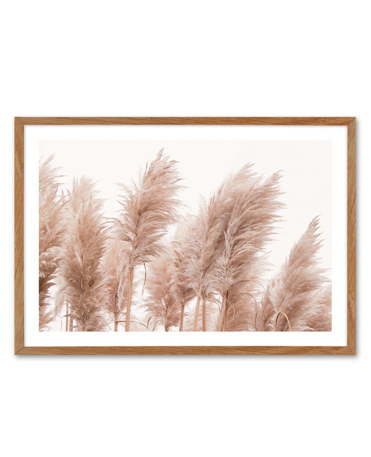 Golden Pampas Art Print-PRINT-Olive et Oriel-Olive et Oriel-Buy-Australian-Art-Prints-Online-with-Olive-et-Oriel-Your-Artwork-Specialists-Austrailia-Decorate-With-Coastal-Photo-Wall-Art-Prints-From-Our-Beach-House-Artwork-Collection-Fine-Poster-and-Framed-Artwork