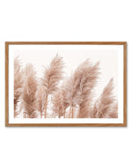 Golden Pampas Art Print-PRINT-Olive et Oriel-Olive et Oriel-Buy-Australian-Art-Prints-Online-with-Olive-et-Oriel-Your-Artwork-Specialists-Austrailia-Decorate-With-Coastal-Photo-Wall-Art-Prints-From-Our-Beach-House-Artwork-Collection-Fine-Poster-and-Framed-Artwork