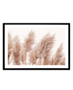 Golden Pampas Art Print-PRINT-Olive et Oriel-Olive et Oriel-A5 | 5.8" x 8.3" | 14.8 x 21cm-Black-With White Border-Buy-Australian-Art-Prints-Online-with-Olive-et-Oriel-Your-Artwork-Specialists-Austrailia-Decorate-With-Coastal-Photo-Wall-Art-Prints-From-Our-Beach-House-Artwork-Collection-Fine-Poster-and-Framed-Artwork
