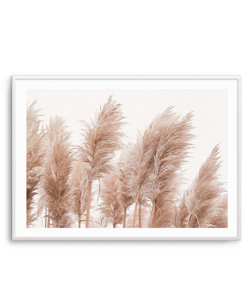 Golden Pampas Art Print-PRINT-Olive et Oriel-Olive et Oriel-A5 | 5.8" x 8.3" | 14.8 x 21cm-Unframed Art Print-With White Border-Buy-Australian-Art-Prints-Online-with-Olive-et-Oriel-Your-Artwork-Specialists-Austrailia-Decorate-With-Coastal-Photo-Wall-Art-Prints-From-Our-Beach-House-Artwork-Collection-Fine-Poster-and-Framed-Artwork