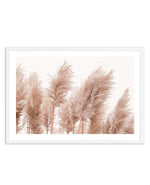 Golden Pampas Art Print-PRINT-Olive et Oriel-Olive et Oriel-A5 | 5.8" x 8.3" | 14.8 x 21cm-White-With White Border-Buy-Australian-Art-Prints-Online-with-Olive-et-Oriel-Your-Artwork-Specialists-Austrailia-Decorate-With-Coastal-Photo-Wall-Art-Prints-From-Our-Beach-House-Artwork-Collection-Fine-Poster-and-Framed-Artwork
