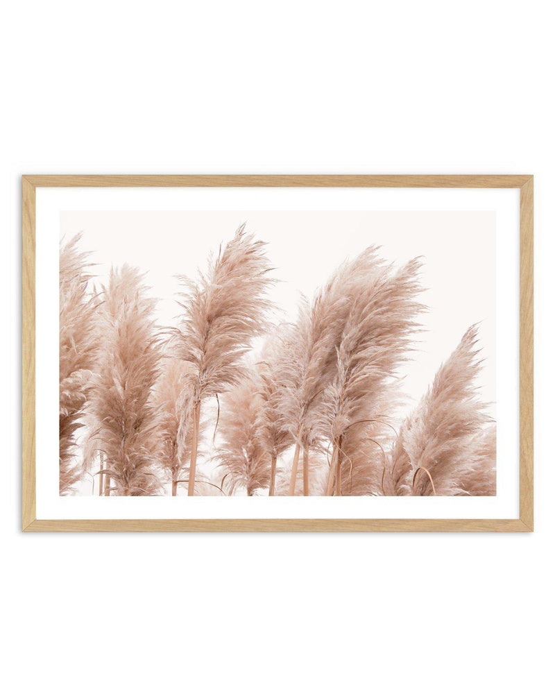 Golden Pampas Art Print-PRINT-Olive et Oriel-Olive et Oriel-A5 | 5.8" x 8.3" | 14.8 x 21cm-Oak-With White Border-Buy-Australian-Art-Prints-Online-with-Olive-et-Oriel-Your-Artwork-Specialists-Austrailia-Decorate-With-Coastal-Photo-Wall-Art-Prints-From-Our-Beach-House-Artwork-Collection-Fine-Poster-and-Framed-Artwork