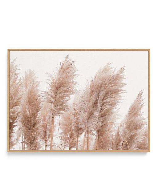Golden Pampas | Framed Canvas-CANVAS-You can shop wall art online with Olive et Oriel for everything from abstract art to fun kids wall art. Our beautiful modern art prints and canvas art are available from large canvas prints to wall art paintings and our proudly Australian artwork collection offers only the highest quality framed large wall art and canvas art Australia - You can buy fashion photography prints or Hampton print posters and paintings on canvas from Olive et Oriel and have them de