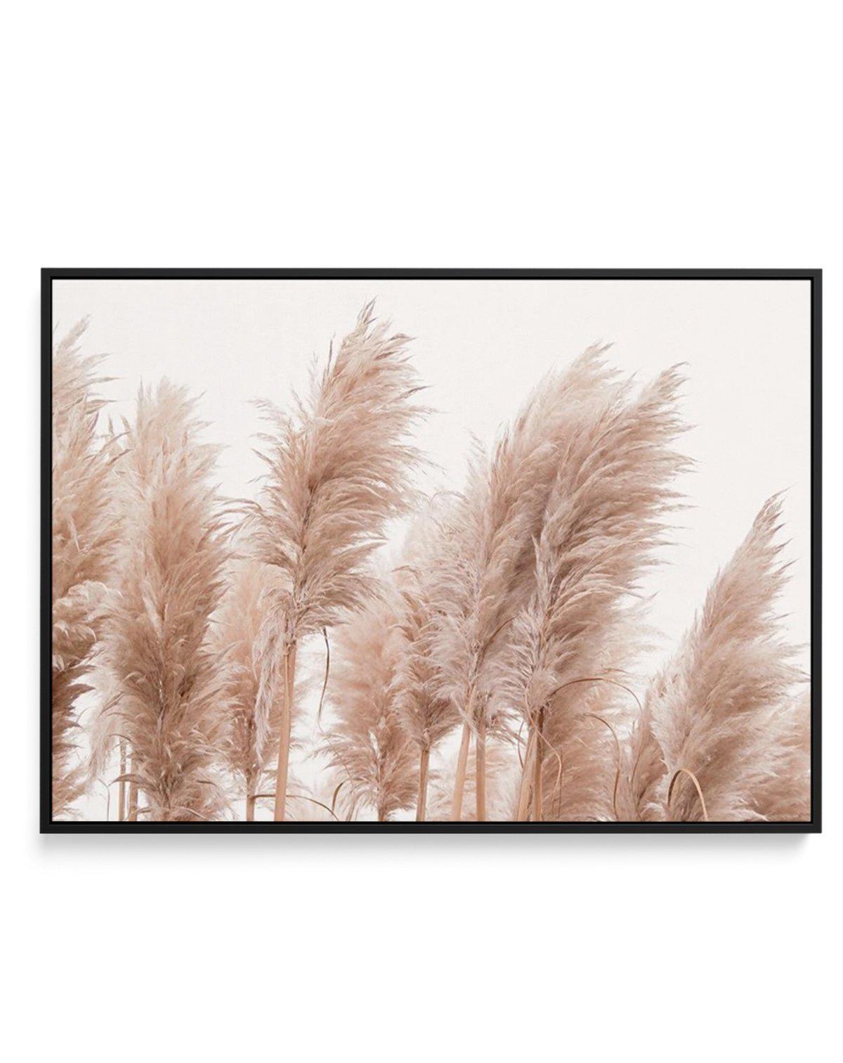 Golden Pampas | Framed Canvas-CANVAS-You can shop wall art online with Olive et Oriel for everything from abstract art to fun kids wall art. Our beautiful modern art prints and canvas art are available from large canvas prints to wall art paintings and our proudly Australian artwork collection offers only the highest quality framed large wall art and canvas art Australia - You can buy fashion photography prints or Hampton print posters and paintings on canvas from Olive et Oriel and have them de