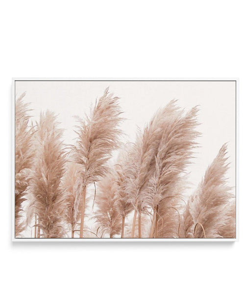 Golden Pampas | Framed Canvas-CANVAS-You can shop wall art online with Olive et Oriel for everything from abstract art to fun kids wall art. Our beautiful modern art prints and canvas art are available from large canvas prints to wall art paintings and our proudly Australian artwork collection offers only the highest quality framed large wall art and canvas art Australia - You can buy fashion photography prints or Hampton print posters and paintings on canvas from Olive et Oriel and have them de