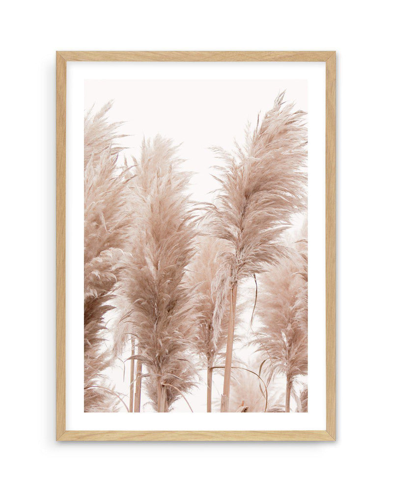 Golden Pampas I Art Print-PRINT-Olive et Oriel-Olive et Oriel-A5 | 5.8" x 8.3" | 14.8 x 21cm-Oak-With White Border-Buy-Australian-Art-Prints-Online-with-Olive-et-Oriel-Your-Artwork-Specialists-Austrailia-Decorate-With-Coastal-Photo-Wall-Art-Prints-From-Our-Beach-House-Artwork-Collection-Fine-Poster-and-Framed-Artwork