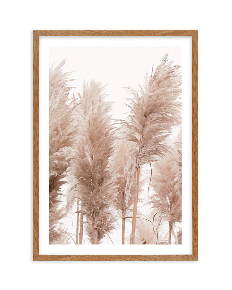 Golden Pampas I Art Print-PRINT-Olive et Oriel-Olive et Oriel-Buy-Australian-Art-Prints-Online-with-Olive-et-Oriel-Your-Artwork-Specialists-Austrailia-Decorate-With-Coastal-Photo-Wall-Art-Prints-From-Our-Beach-House-Artwork-Collection-Fine-Poster-and-Framed-Artwork