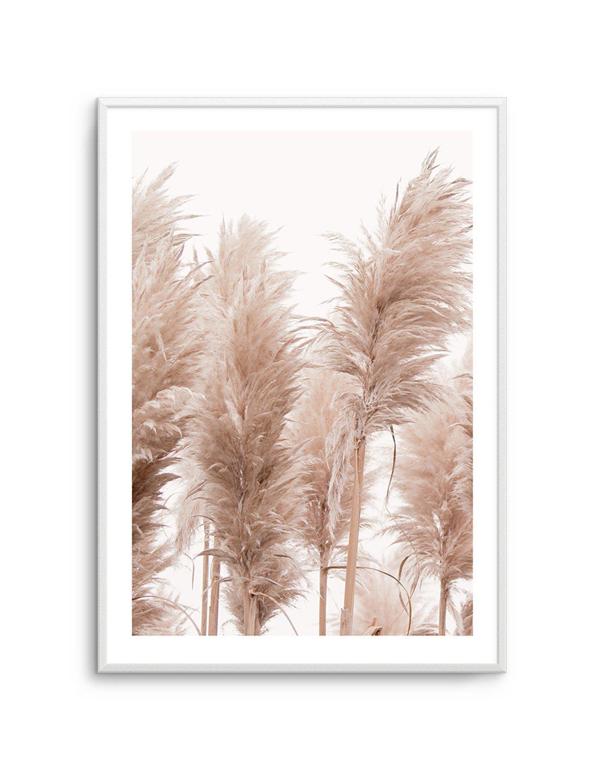 Golden Pampas I Art Print-PRINT-Olive et Oriel-Olive et Oriel-A5 | 5.8" x 8.3" | 14.8 x 21cm-Unframed Art Print-With White Border-Buy-Australian-Art-Prints-Online-with-Olive-et-Oriel-Your-Artwork-Specialists-Austrailia-Decorate-With-Coastal-Photo-Wall-Art-Prints-From-Our-Beach-House-Artwork-Collection-Fine-Poster-and-Framed-Artwork