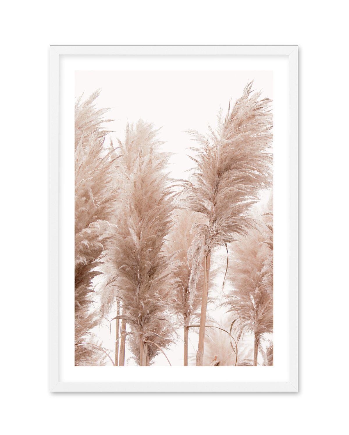 Golden Pampas I Art Print-PRINT-Olive et Oriel-Olive et Oriel-A5 | 5.8" x 8.3" | 14.8 x 21cm-White-With White Border-Buy-Australian-Art-Prints-Online-with-Olive-et-Oriel-Your-Artwork-Specialists-Austrailia-Decorate-With-Coastal-Photo-Wall-Art-Prints-From-Our-Beach-House-Artwork-Collection-Fine-Poster-and-Framed-Artwork