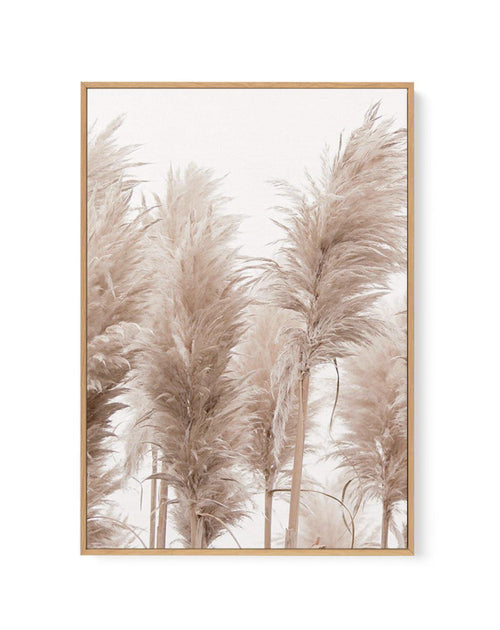 Golden Pampas I | Framed Canvas-CANVAS-You can shop wall art online with Olive et Oriel for everything from abstract art to fun kids wall art. Our beautiful modern art prints and canvas art are available from large canvas prints to wall art paintings and our proudly Australian artwork collection offers only the highest quality framed large wall art and canvas art Australia - You can buy fashion photography prints or Hampton print posters and paintings on canvas from Olive et Oriel and have them 