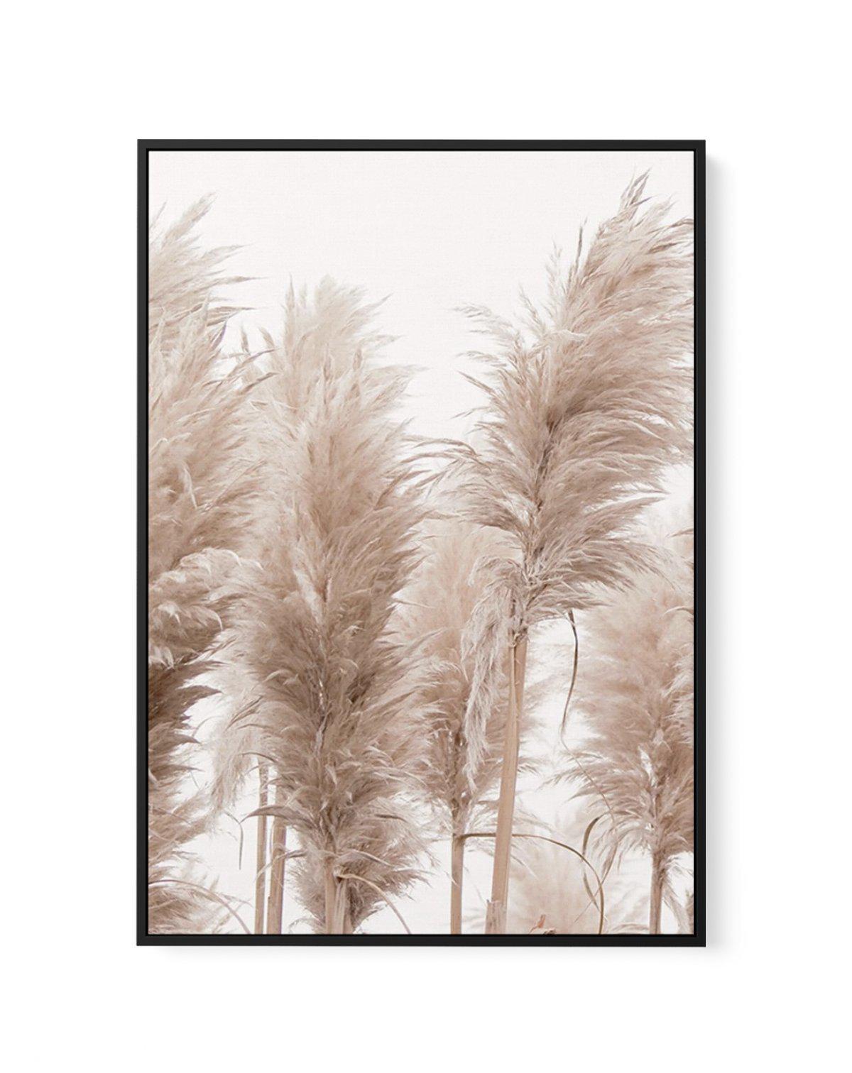 Golden Pampas I | Framed Canvas-CANVAS-You can shop wall art online with Olive et Oriel for everything from abstract art to fun kids wall art. Our beautiful modern art prints and canvas art are available from large canvas prints to wall art paintings and our proudly Australian artwork collection offers only the highest quality framed large wall art and canvas art Australia - You can buy fashion photography prints or Hampton print posters and paintings on canvas from Olive et Oriel and have them 