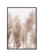 Golden Pampas I | Framed Canvas-CANVAS-You can shop wall art online with Olive et Oriel for everything from abstract art to fun kids wall art. Our beautiful modern art prints and canvas art are available from large canvas prints to wall art paintings and our proudly Australian artwork collection offers only the highest quality framed large wall art and canvas art Australia - You can buy fashion photography prints or Hampton print posters and paintings on canvas from Olive et Oriel and have them 